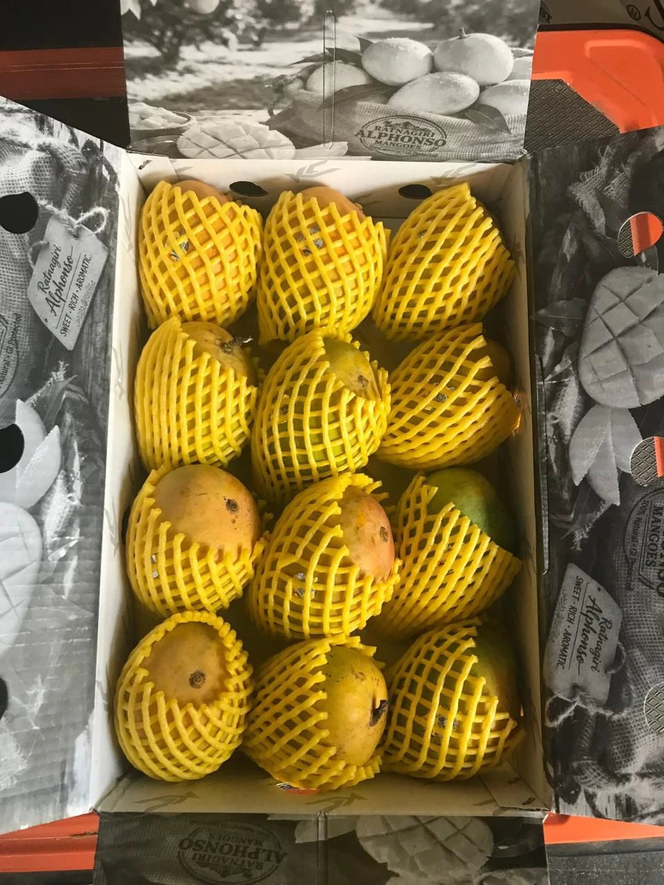 GI Tagged Alphonso Mangoes - PREBOOK YOUR ORDERS NOW!
