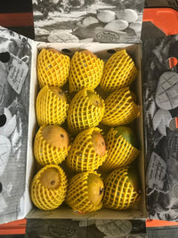 GI Tagged Alphonso Mangoes - PREBOOK YOUR ORDERS NOW!