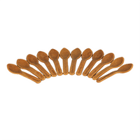 EdiblePRO Edible Small Spoons – Perfect for Desserts and Party Treats - 20 Pc