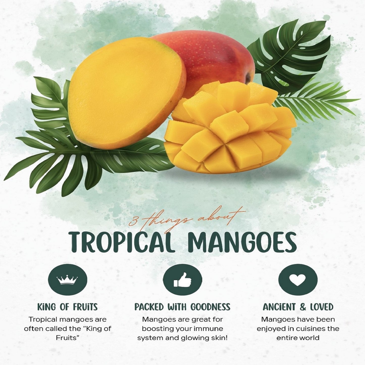 GI Tagged Alphonso Mangoes - PREBOOK YOUR ORDERS NOW!