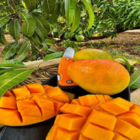 GI Tagged Alphonso Mangoes - PREBOOK YOUR ORDERS NOW!