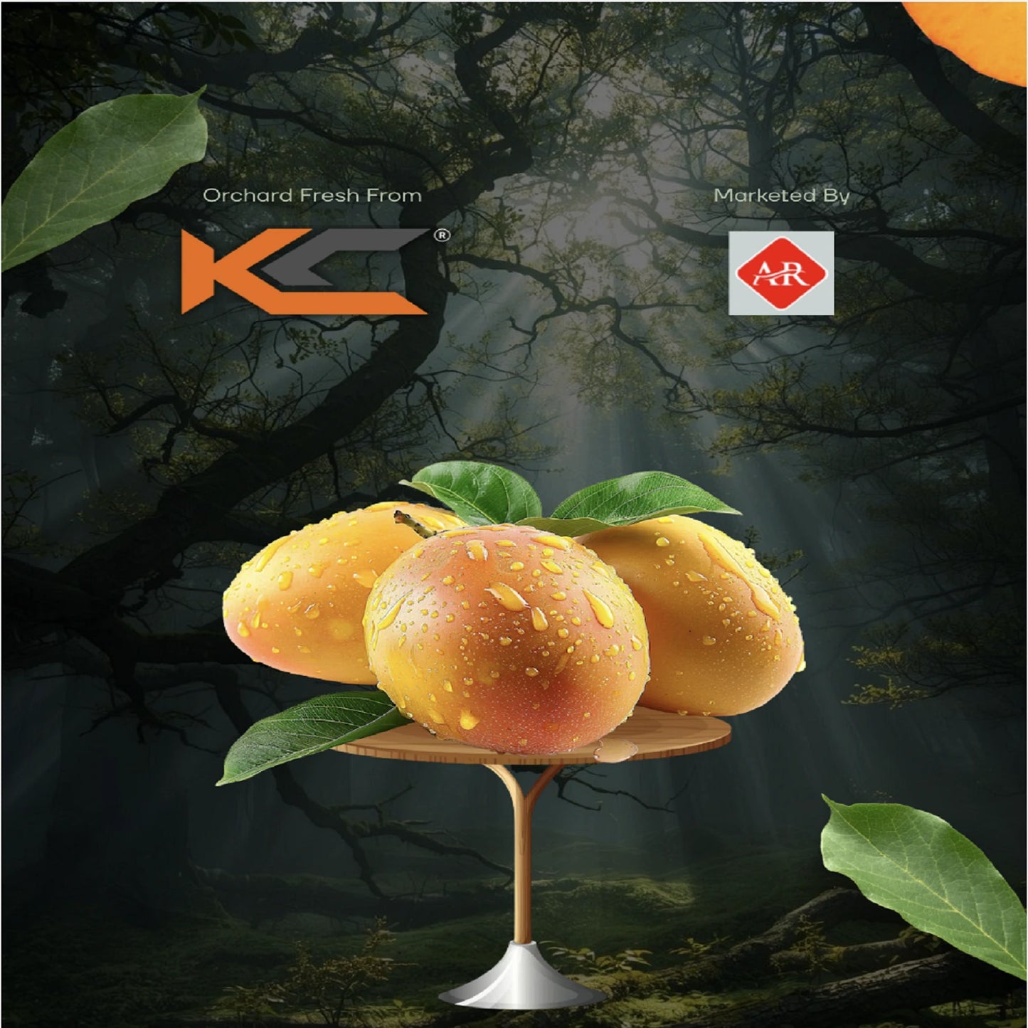GI Tagged Alphonso Mangoes - PREBOOK YOUR ORDERS NOW!