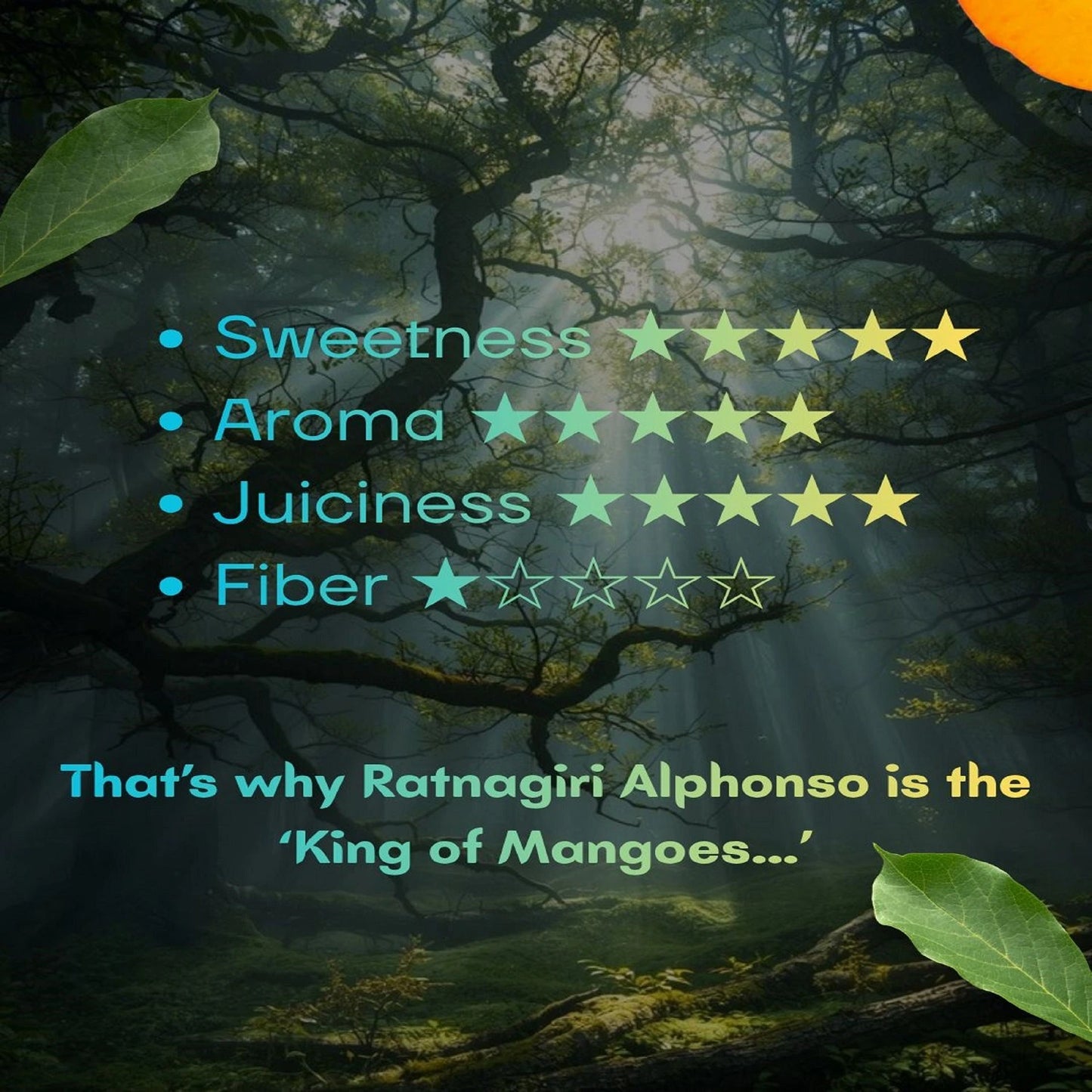 GI Tagged Alphonso Mangoes - PREBOOK YOUR ORDERS NOW!